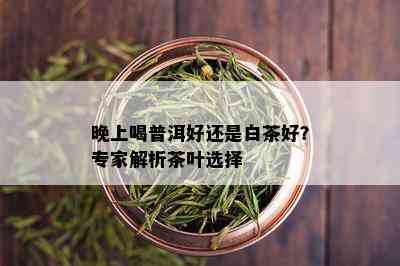 晚上喝普洱好还是白茶好？专家解析茶叶选择