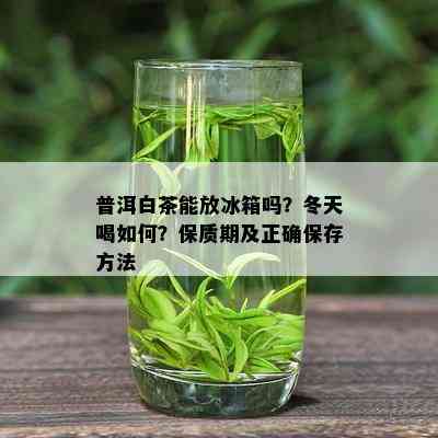 普洱白茶能放冰箱吗？冬天喝如何？保质期及正确保存方法