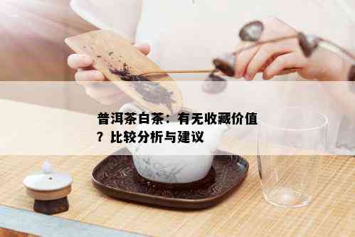 普洱茶白茶：有无收藏价值？比较分析与建议