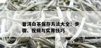 普洱白茶保存方法大全：步骤、视频与实用技巧