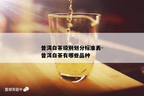 普洱白茶级别划分标准表-普洱白茶有哪些品种