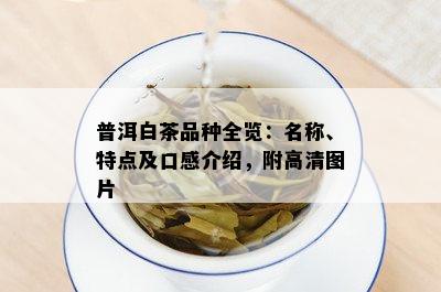 普洱白茶品种全览：名称、特点及口感介绍，附高清图片