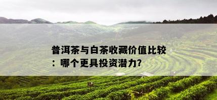 普洱茶与白茶收藏价值比较：哪个更具投资潜力？