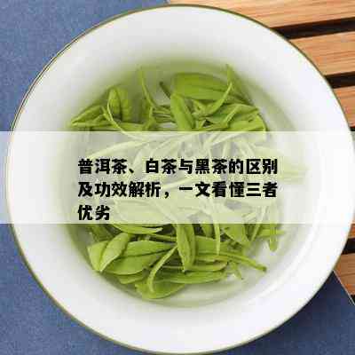 普洱茶、白茶与黑茶的区别及功效解析，一文看懂三者优劣