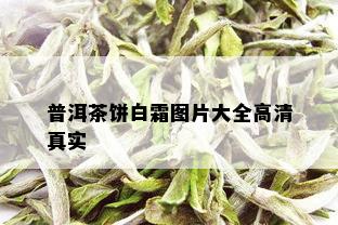 普洱茶饼白霜图片大全高 *** 实