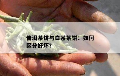 普洱茶饼与白茶茶饼：如何区分好坏？