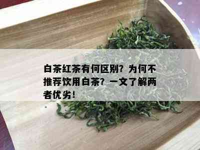 白茶红茶有何区别？为何不推荐饮用白茶？一文了解两者优劣！