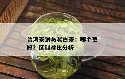 普洱茶饼与老白茶：哪个更好？区别对比分析