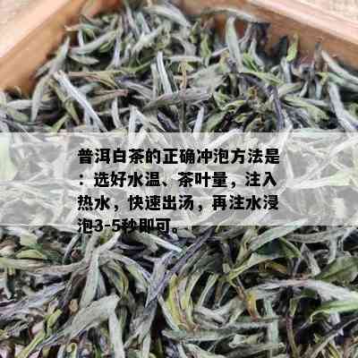 普洱白茶的正确冲泡方法是：选好水温、茶叶量，注入热水，快速出汤，再注水浸泡3-5秒即可。