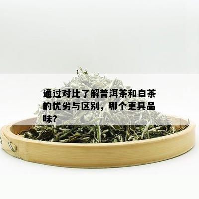 通过对比了解普洱茶和白茶的优劣与区别，哪个更具品味?