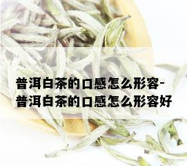 普洱白茶的口感怎么形容-普洱白茶的口感怎么形容好