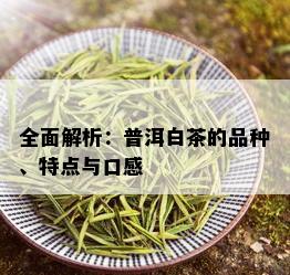 全面解析：普洱白茶的品种、特点与口感