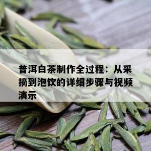 普洱白茶制作全过程：从采摘到泡饮的详细步骤与视频演示