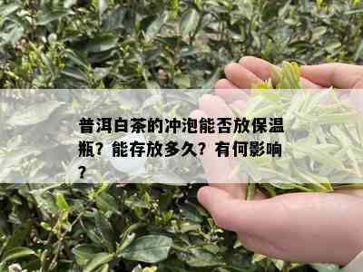 普洱白茶的冲泡能否放保温瓶？能存放多久？有何影响？