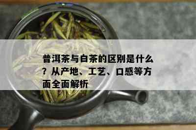 普洱茶与白茶的区别是什么？从产地、工艺、口感等方面全面解析