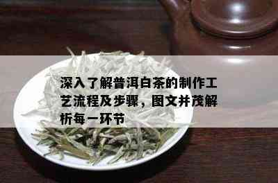 深入了解普洱白茶的制作工艺流程及步骤，图文并茂解析每一环节