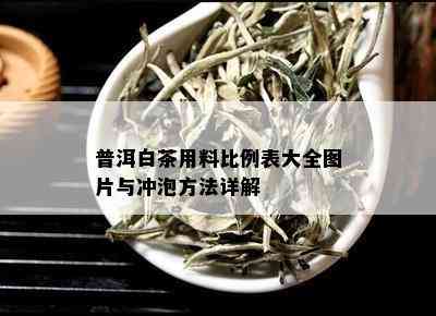 普洱白茶用料比例表大全图片与冲泡方法详解