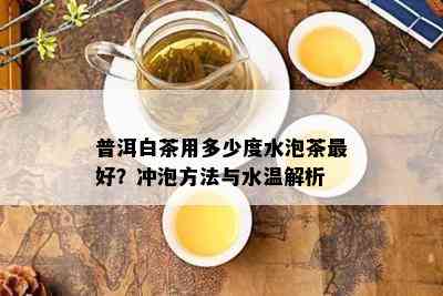 普洱白茶用多少度水泡茶更好？冲泡方法与水温解析