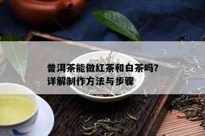 普洱茶能做红茶和白茶吗？详解制作方法与步骤