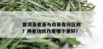 普洱茶老茶与白茶有何区别？两者功效作用哪个更好？