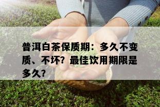 普洱白茶保质期：多久不变质、不坏？更佳饮用期限是多久？