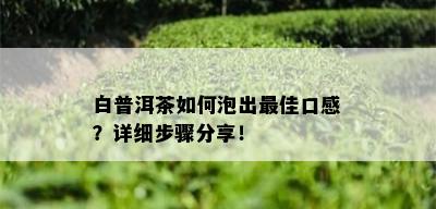 白普洱茶如何泡出更佳口感？详细步骤分享！