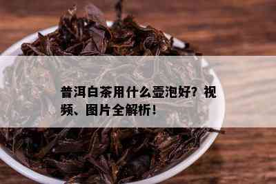 普洱白茶用什么壶泡好？视频、图片全解析！