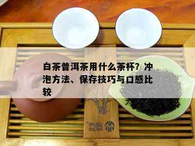 白茶普洱茶用什么茶杯？冲泡方法、保存技巧与口感比较