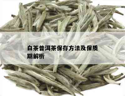 白茶普洱茶保存方法及保质期解析