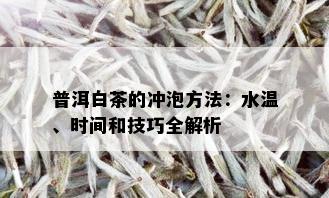 普洱白茶的冲泡方法：水温、时间和技巧全解析