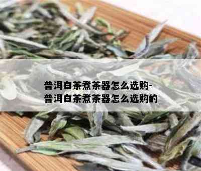 普洱白茶煮茶器怎么选购-普洱白茶煮茶器怎么选购的