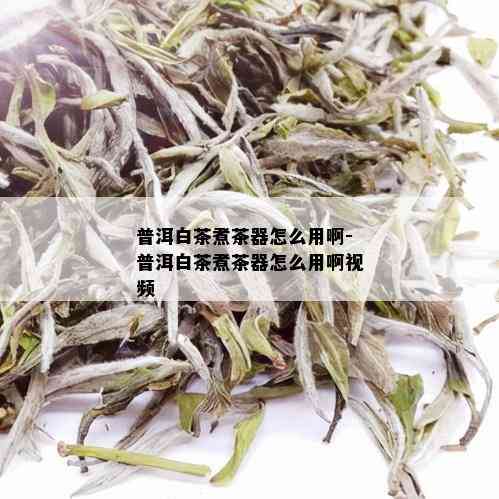 普洱白茶煮茶器怎么用啊-普洱白茶煮茶器怎么用啊视频