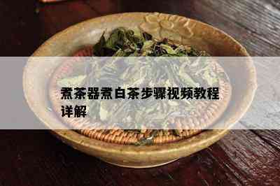 煮茶器煮白茶步骤视频教程详解