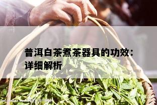 普洱白茶煮茶器具的功效：详细解析