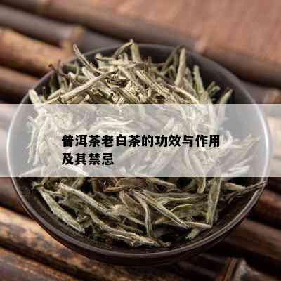 普洱茶老白茶的功效与作用及其禁忌