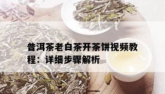 普洱茶老白茶开茶饼视频教程：详细步骤解析