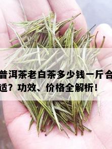 普洱茶老白茶多少钱一斤合适？功效、价格全解析！