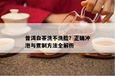 普洱白茶洗不洗脸？正确冲泡与煮制方法全解析