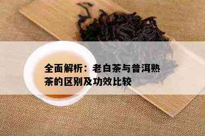 全面解析：老白茶与普洱熟茶的区别及功效比较