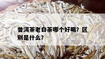 普洱茶老白茶哪个好喝？区别是什么？