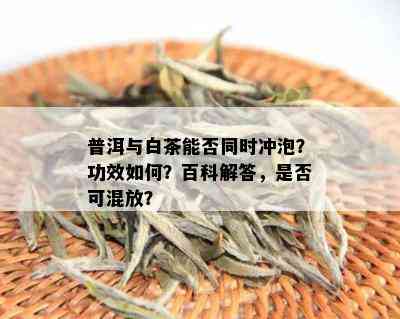 普洱与白茶能否同时冲泡？功效如何？百科解答，是否可混放？