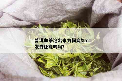 普洱白茶泡出来为何变红？发白还能喝吗？