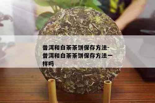 普洱和白茶茶饼保存方法-普洱和白茶茶饼保存方法一样吗