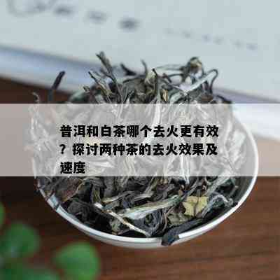 普洱和白茶哪个去火更有效？探讨两种茶的去火效果及速度