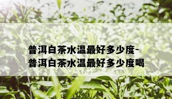 普洱白茶水温更好多少度-普洱白茶水温更好多少度喝