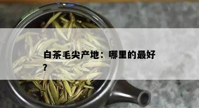 白茶毛尖产地：哪里的更好？