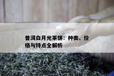 普洱白月光茶饼：种类、价格与特点全解析