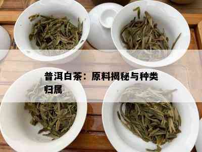 普洱白茶：原料揭秘与种类归属