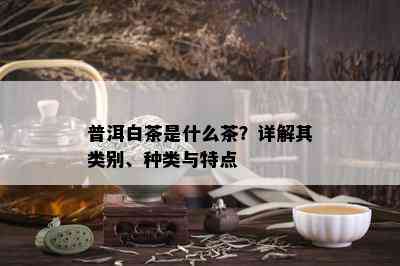 普洱白茶是什么茶？详解其类别、种类与特点