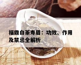 福鼎白茶寿眉：功效、作用及禁忌全解析